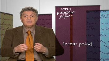 Le jour poind
