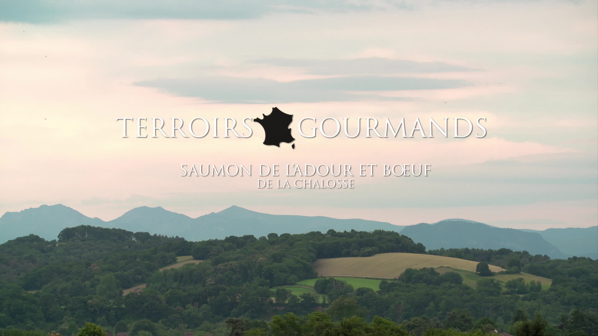 Saumon de l'Adour et boeuf de Chalosse