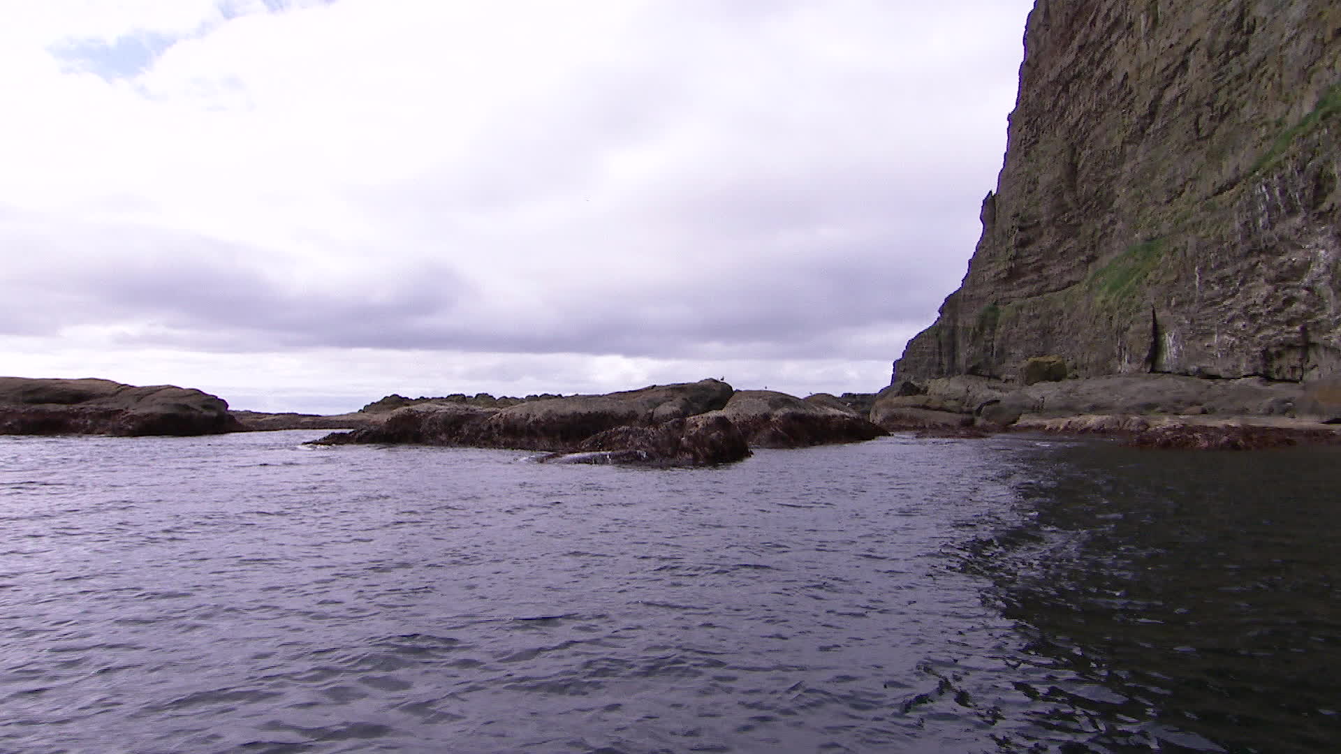 Îles Féroé : la migration des baleines-pilotes