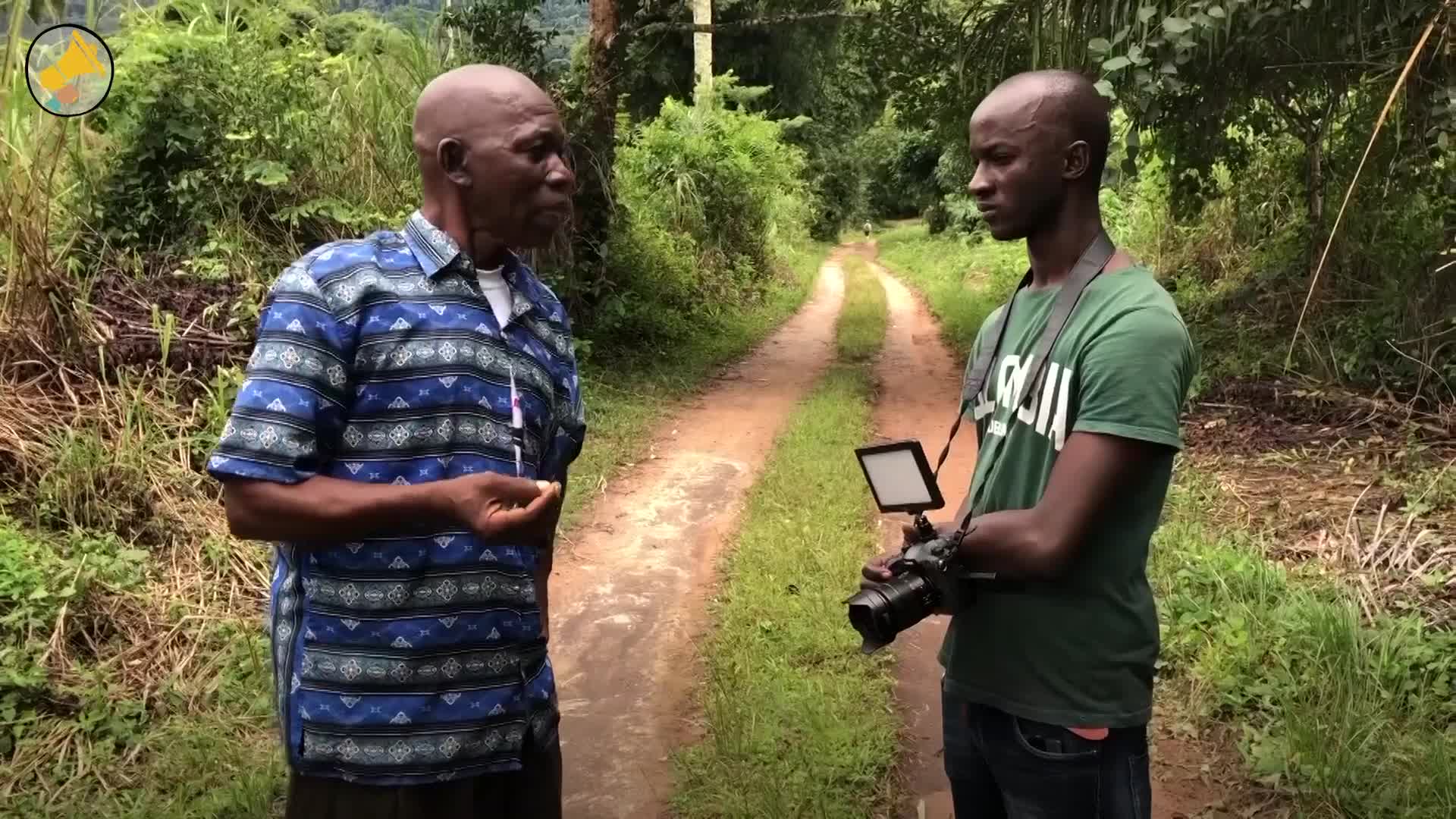 La forêt de Ziama : un joyau menacé