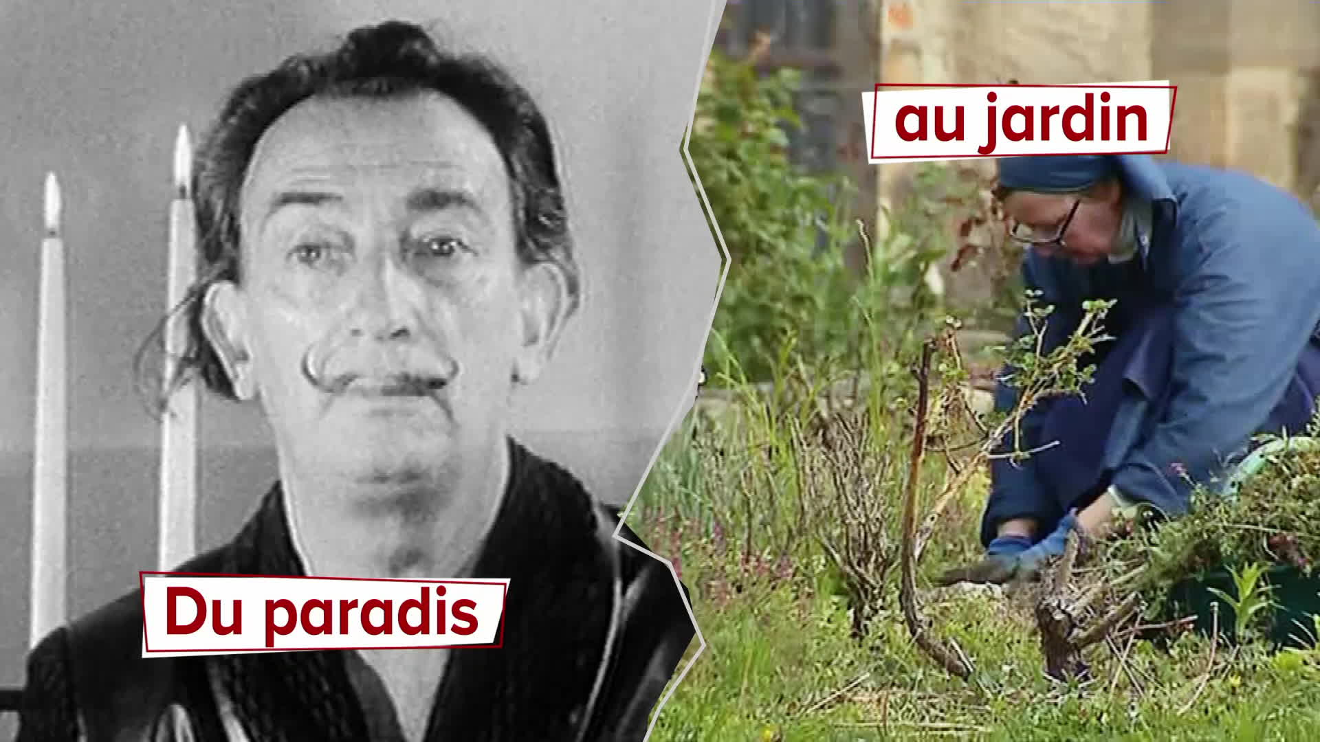 Episode 8 : Du paradis au jardin