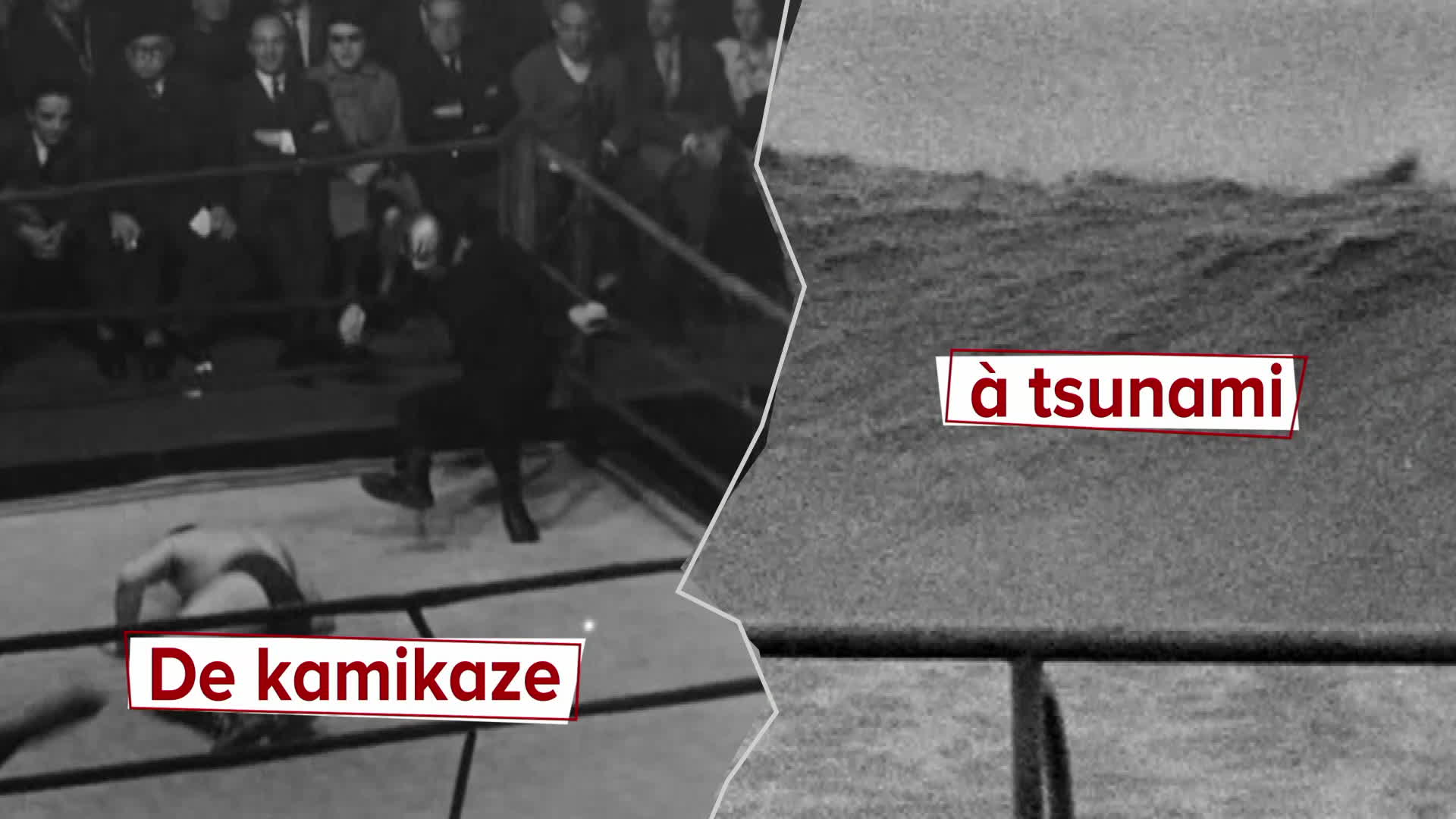 Episode 10 : De kamikaze à tsunami